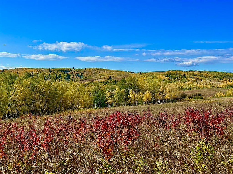 Fall Wellness Retreat ~ Restore and Reconnect in Nature