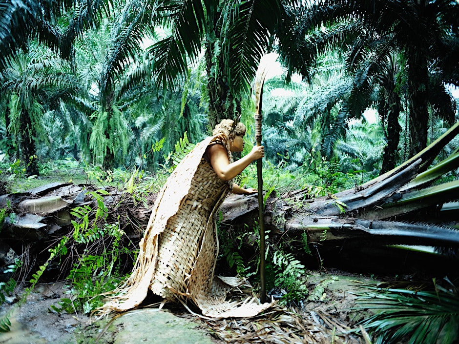 Follow the Plants x Kenno Filmi film program