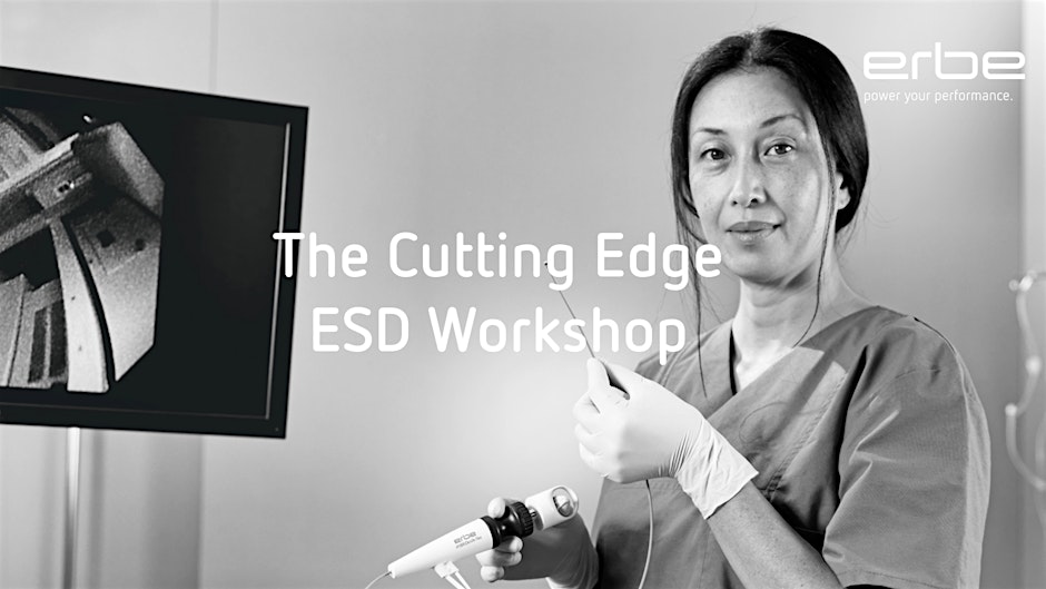 The Cutting Edge - ESD Workshop